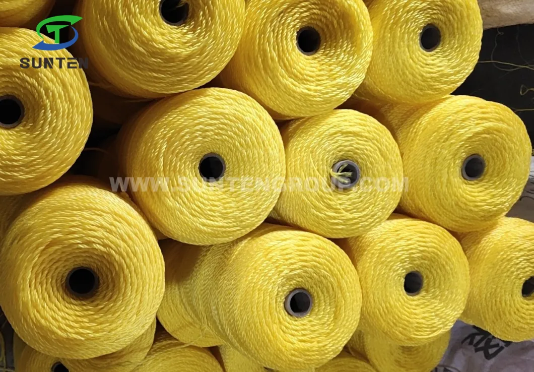 Green High Tenacity PE/PP/Polyester/Nylon Plastic Twisted/Braided Multi-Filament/Baler/Thread/Packing Line/Fishing Net Twine 210d/380d by Spool/Reel/Bobbin/Hank