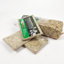 Wholesale Sphagnum Moss Amino Acid Fertilizer 5KG/Bag
