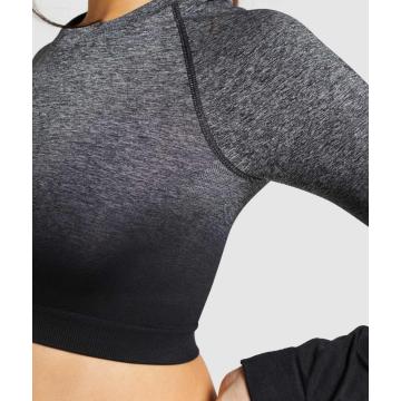 Ombre Seamless Womens 요가 착용 적응