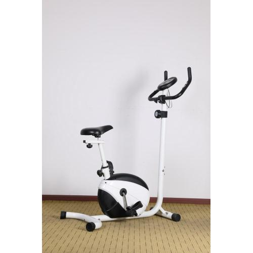 Home Use Indoor Magnetic Exercise Bike