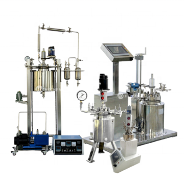 Laboratory Hydrogenation Reactor Search