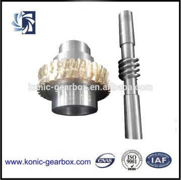 Micro worm gear, micro worm gear motor