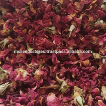 Dried Red Rose