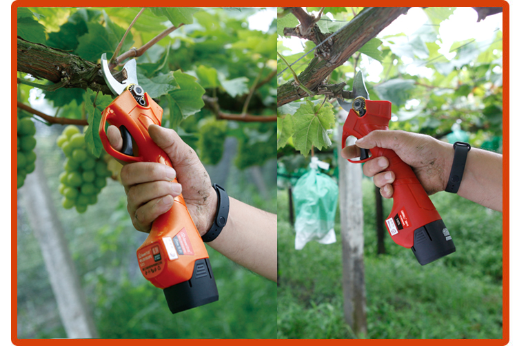 AOWEI 25mm Professional Garden Anvil Pruning Shears With Safety Lock And Less Effort