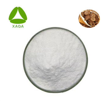 Pilose Antler Extract Peptide Powder