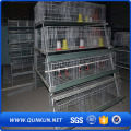 Electra gegalvaniseerde Hoge kwaliteit Layer Cage Wire Mesh