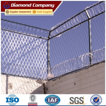 razor wire prison fence/welded razor net/razor security mesh