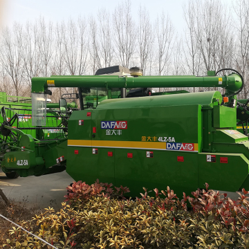 import bearing rice paddy harvesting in west bengal