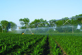 Il sistema di irrigazione a perno centrale ad alte prestazioni