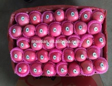 China Yantai best price fuji apple small sizes