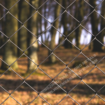 Galvanized Chain Link Fence for Animals