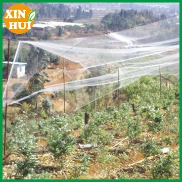 square mesh bird net bird netting