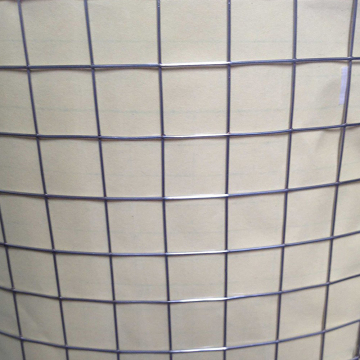 3/4 inch Stainless Steel Welded Wire Meshes