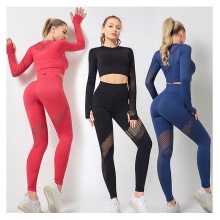 Long Sleeve Sexy Seamless Mesh Yoga Gym Set