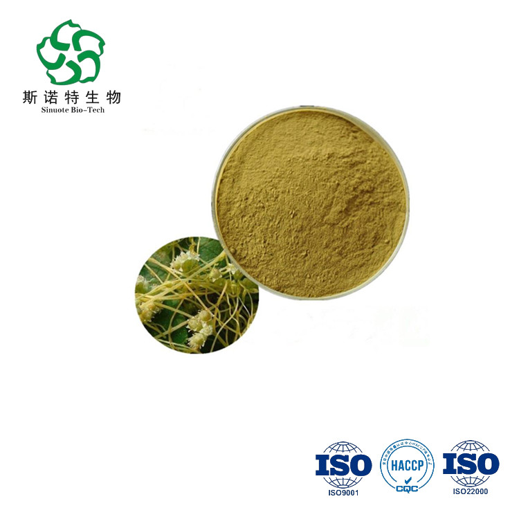 Semen Cuscuta Extract Semen Cuscuta Extract