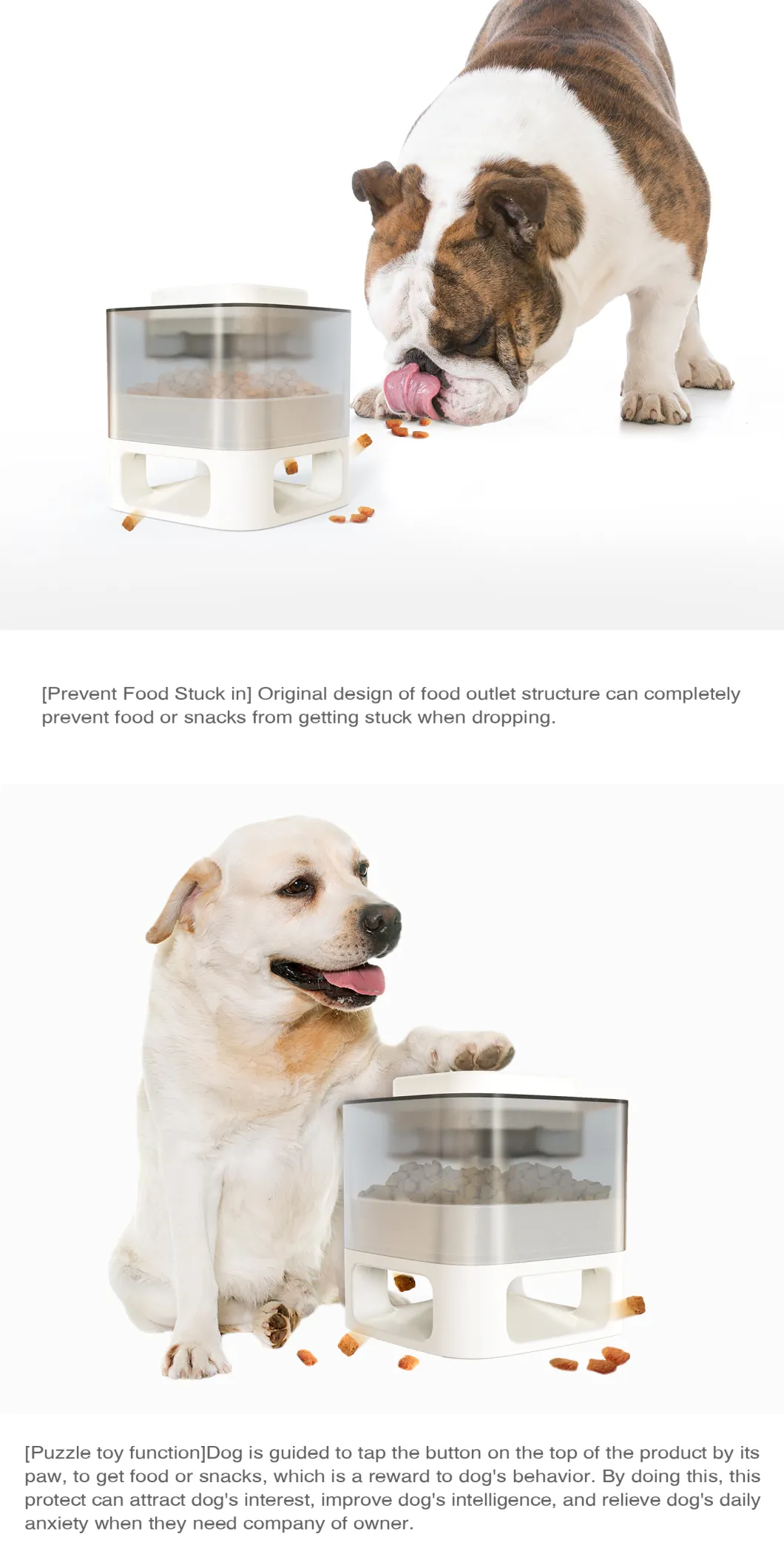 Pet Supply Automatic Pet Feeding Pet Products for Doggy Kitty