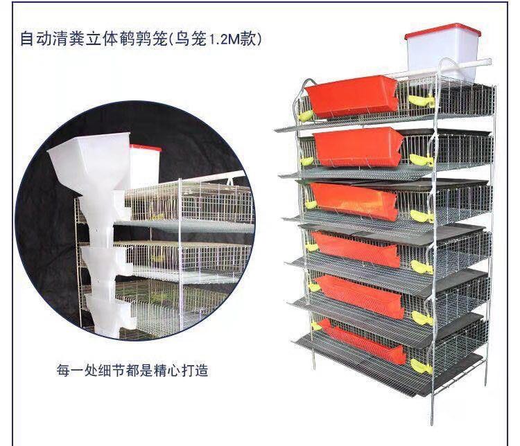 Top Selling 6 Layers Automatic Poultry Quail Farm Cage For Sale