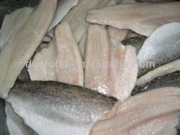 Frozen sea bass fish fillets seabass fish fillets