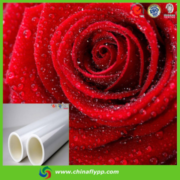 inkjet media eco solvent pp film, 150um glossy pp film, pp film rolls