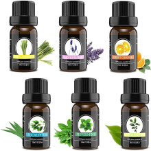 15ml 30ml 50ml 100ml diffuser essential oil wholesale