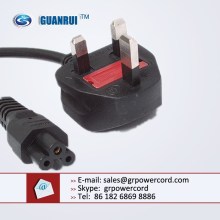 British BSI standard plug with C5 mouse Mikey connectos