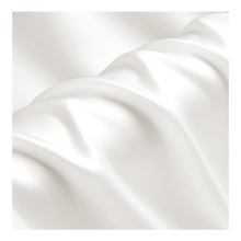 In Stock Grade 22 Momme Pure Mulberry Silk Fabric for Home Textiles