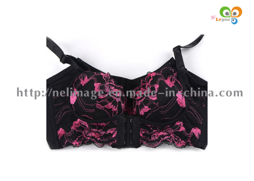 Woman Sexy Bra, Lace Eve Magic Bra