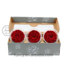 Dark Red Preserved Eternity Roses (Grade 7-8 cm)