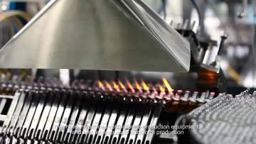 Infectious Bronchitis  Chicken Vaccine Strain H52