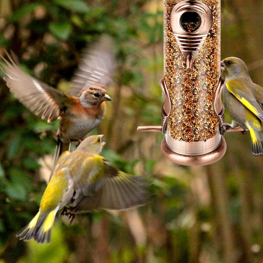 Tubo pendurado no alimentador de sementes de pássaro selvagem