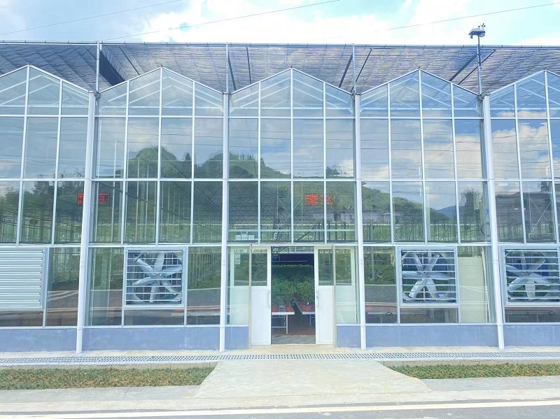 Modern Dağ Tarımını Güçlendirmek: Qingcheng Tarımın Akıllı Cam Sera Projesi Youyang'da Başlıyor Empowering Modern Mountain Agriculture: Qingcheng Agriculture’s Smart Glass Greenhouse Project Launches in Youyang