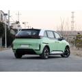 Imoto yemoto ye-EV D1 e-Pure