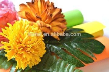 fabricante+goma+eva mascaras de animales en goma eva in China