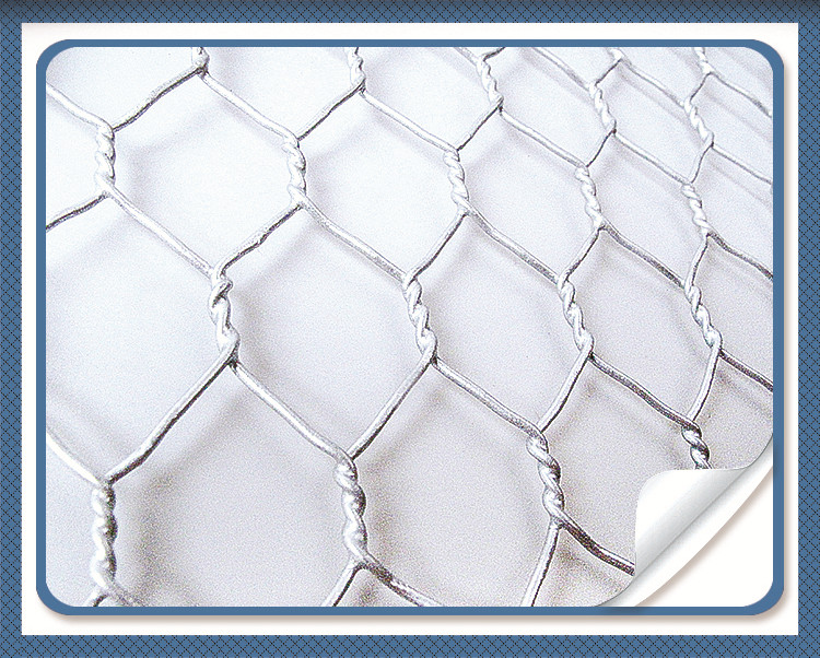 China High Grade Galvanized Hexagonal Wire Net