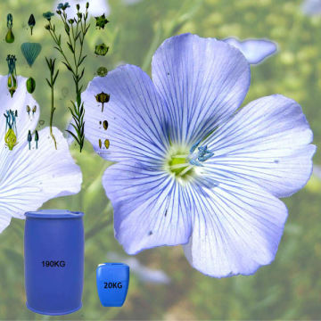 VIRGIN FLAXSEED OIL IN BULK