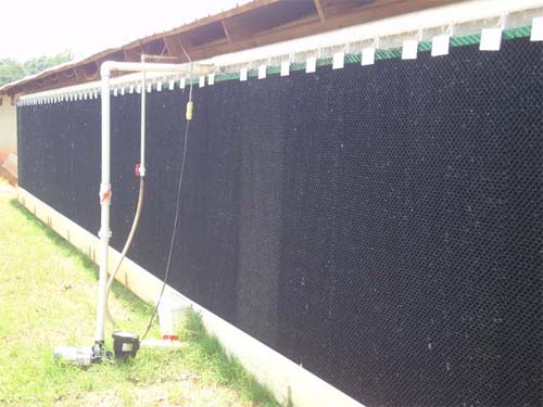 Paper Evaporative Cooling Pad for Agriculture Greenhouse