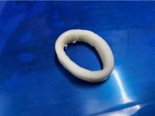 Frozen Squid Ring Illex Argentinus IQF