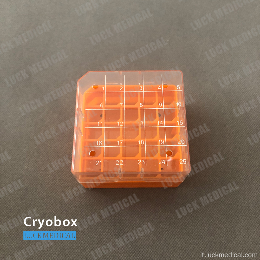 Cryobox per la plastica PC Cryovial Storage