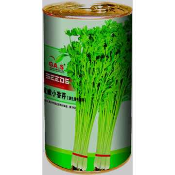 All Kinds Of Celery Seeds For Growing