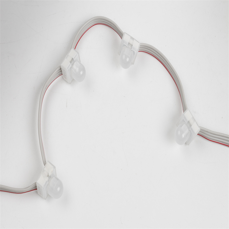 24V DC RGBW 12MM LED Pixel Point Light 0.3W IP67 Christmas Holiday Decoration Durable Outdoor LED Lighting