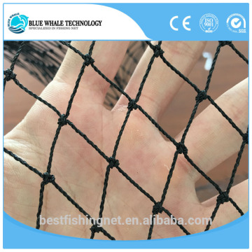 Blue Whale Brand trawl landing fishing net with great price