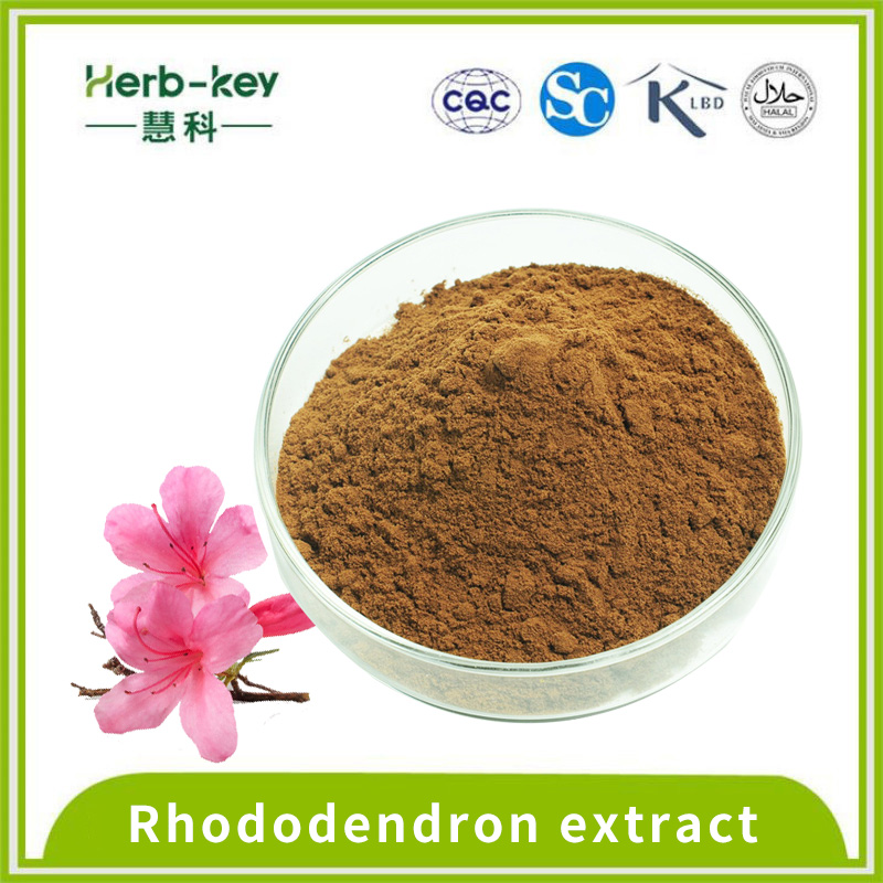 5% flavonoids 10:1 rhododendron extract