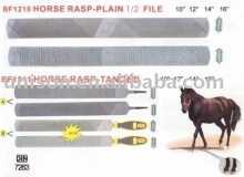 Horse Rasp