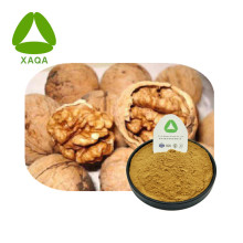 Suplementos e saúde em pó de extrato de casca de walnut