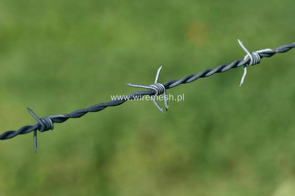 PVC coated  barbed wire sale