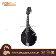 Mandolin Musical Instrument