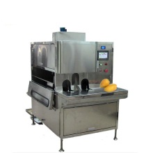 Fruit and Vegetable Peeling Machine