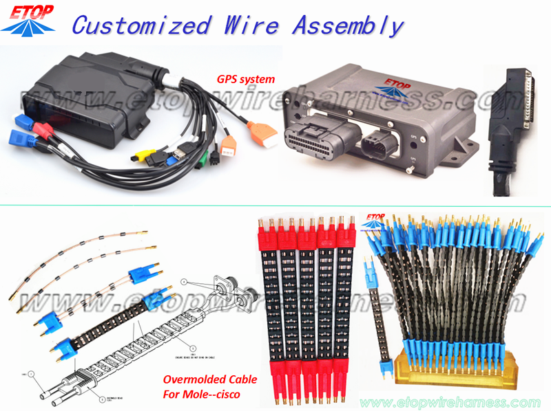 CUSTOMIZED WIRE HARNESS