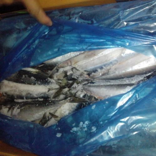 Ikan Makarel Kalengan Beraroma Minyak Nabati