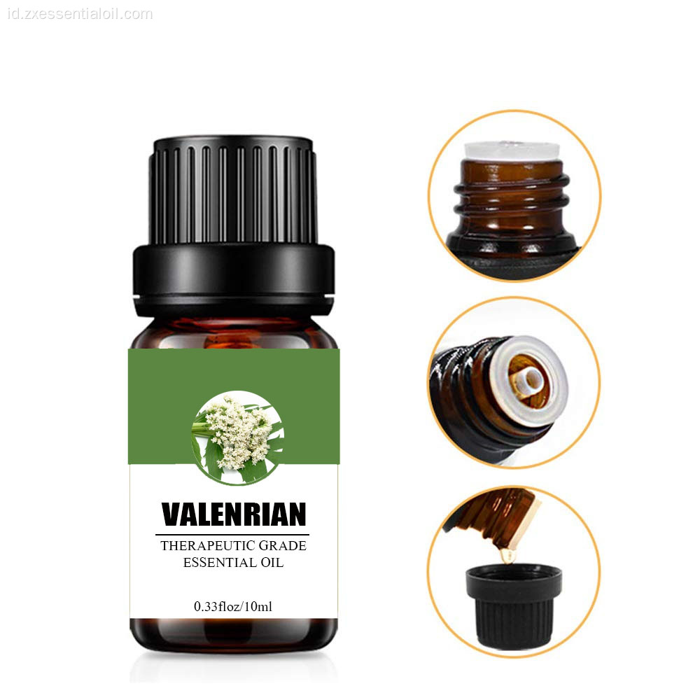 100% Minyak Esensial Natural Valerian Murni